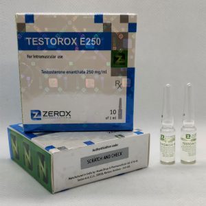 Testorox-E250-amps-Zzerox-Pharmaceuticals