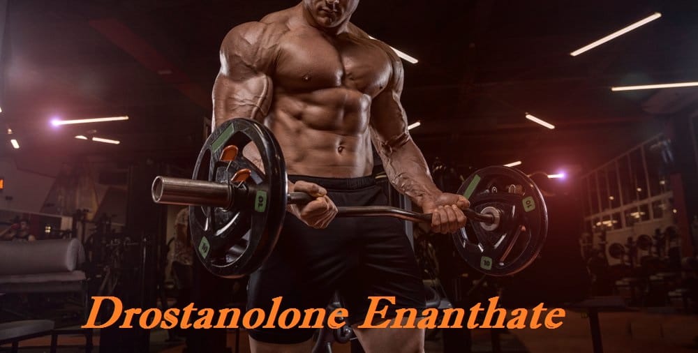 drostanolone-enanthate-review