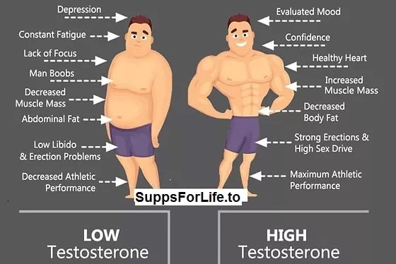 low-vs-high-testosterone-sustanon