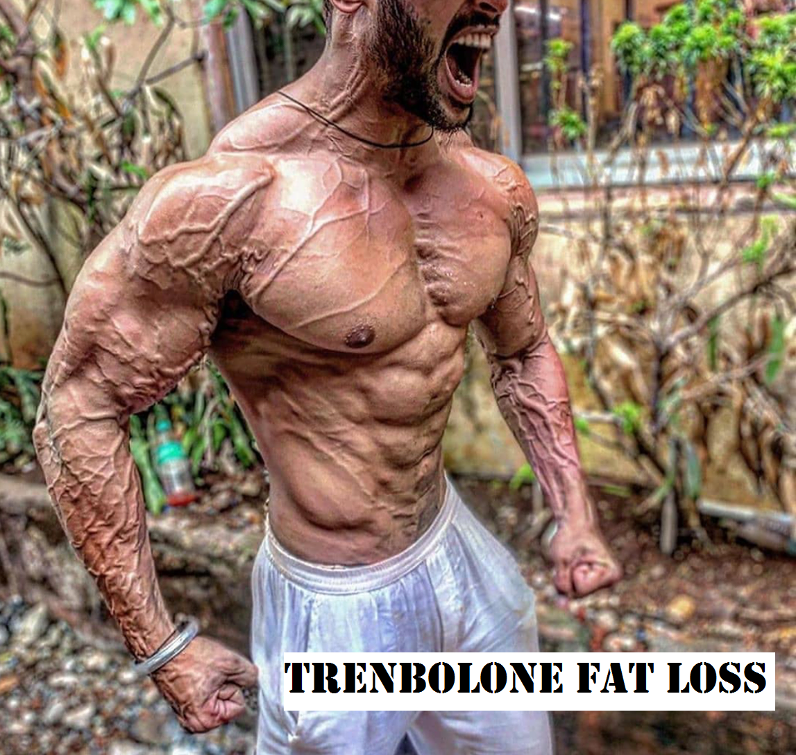 Trenbolone-Fat-Loss