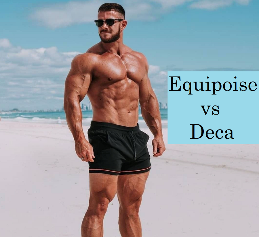equipoise-vs-deca-body-appearance