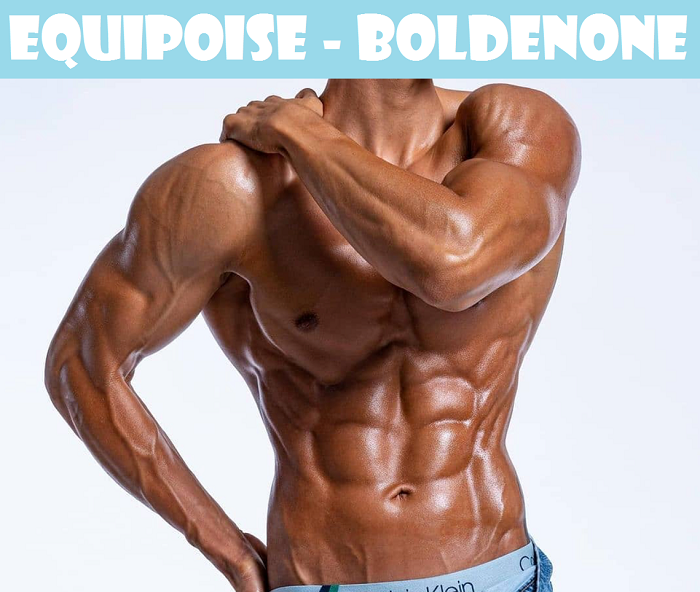 Equipoise-Boldenone