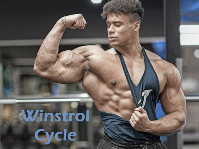 Winstrol-Cycle-supps-for-life