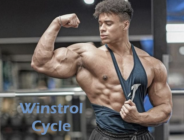 Winstrol-Cycle-supps-for-life