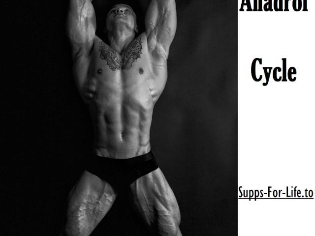 anadrol-cycle-supps-for-life