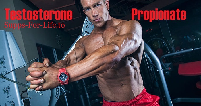 testosterone-propionate-suppsforlife