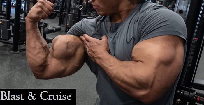 blast-and-cruise-protocol-muscles