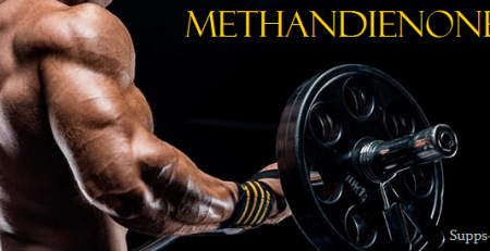 methandienone-supps-for-life