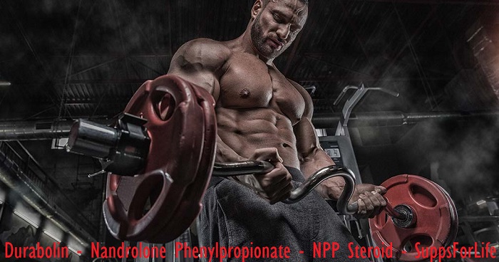 nandrolone-durabolin-npp-steroid-supps-for-life