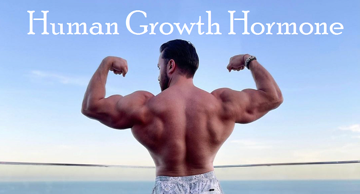 human-growth-hormone-hgh-supps-for-life