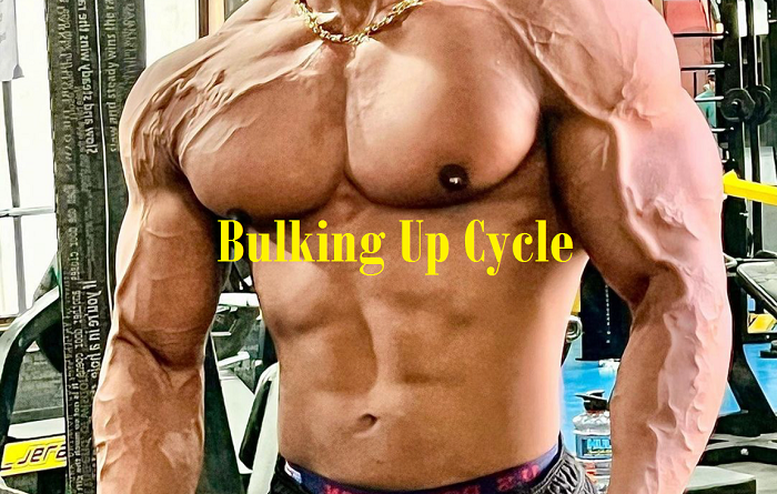 bulking-up-supps-for-life