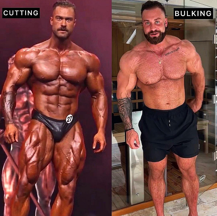 bulking-up-vs-cutting