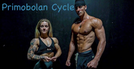 Primobolan-cycle-supps-for-life
