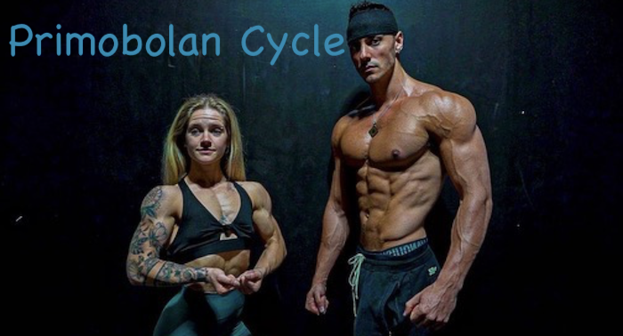 Primobolan-cycle-supps-for-life