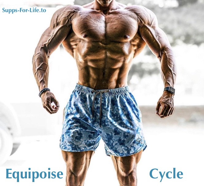 Equipoise Cycle | Boldenone Undecylenate in Bodybuilding | SuppsForLife