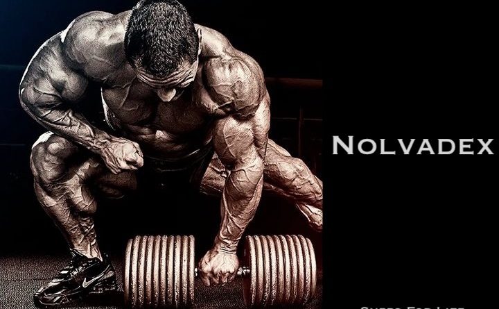 nolvadex-supps-for-life