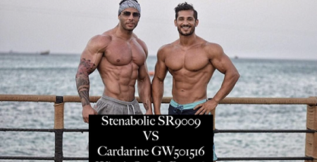 SR9009 Stenabolic vs GW501516 Cardarine