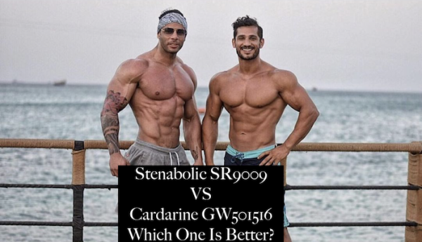 SR9009 Stenabolic vs GW501516 Cardarine