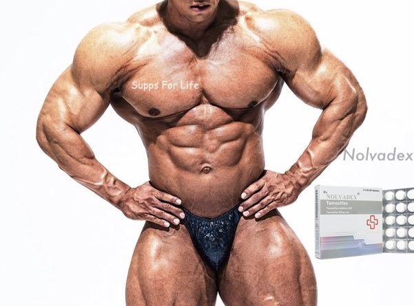 nolvadex faq supps for life